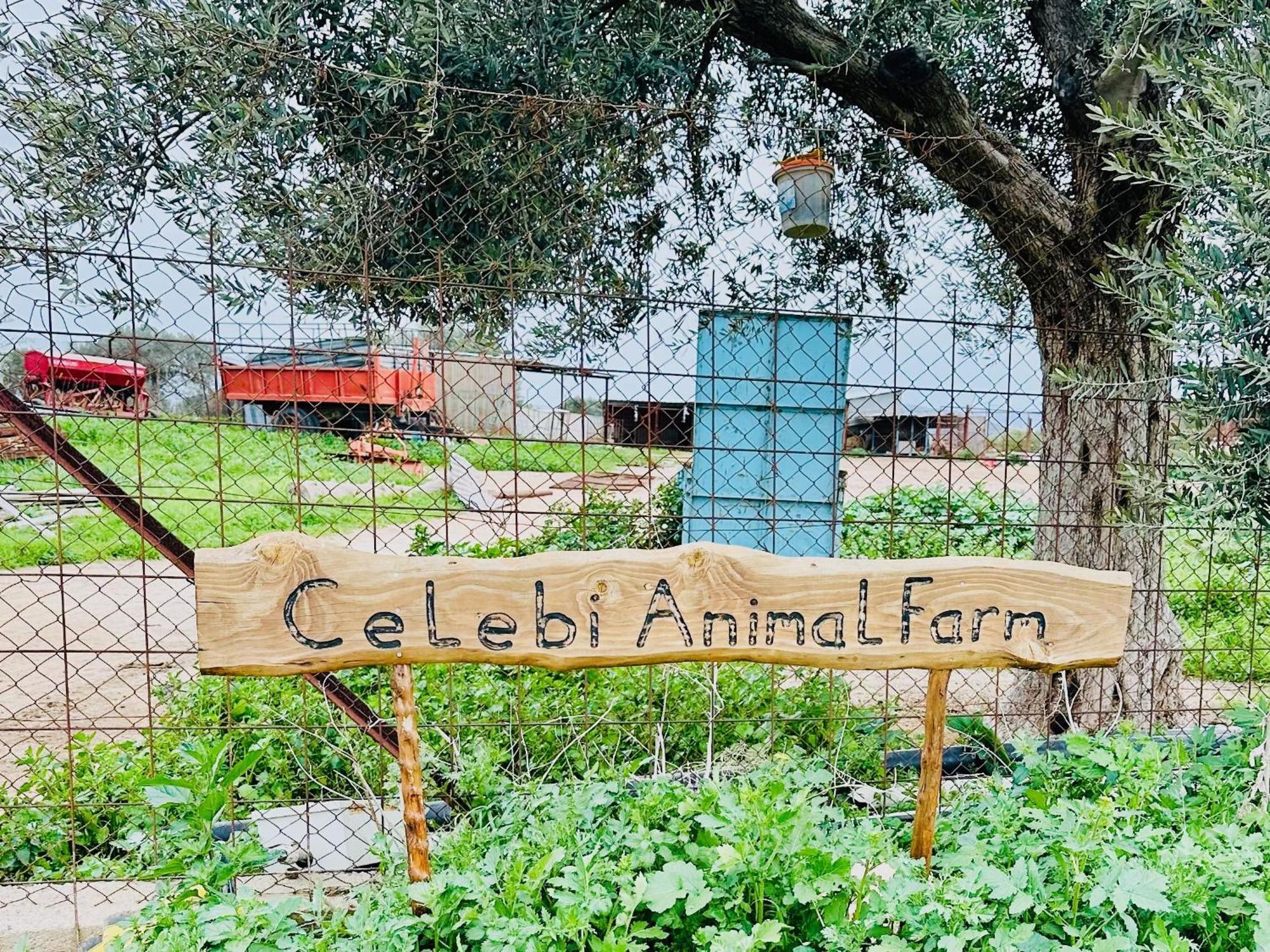 Celebi Garden Hotel - Cittaslow Retreat Ammókhostos Eksteriør bilde