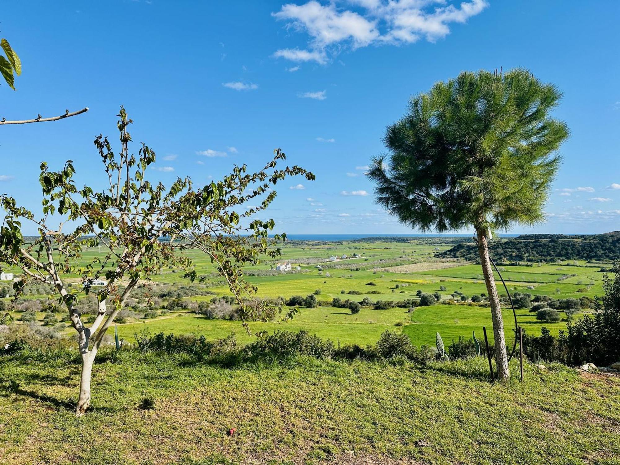 Celebi Garden Hotel - Cittaslow Retreat Ammókhostos Eksteriør bilde